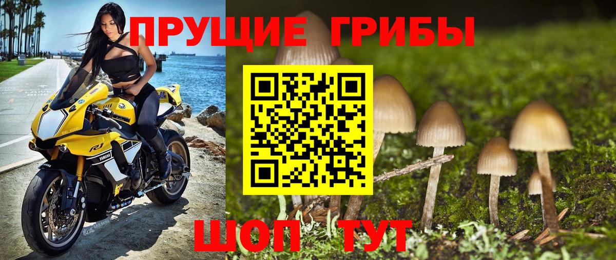 Псилоцибиновые грибы Magic Shrooms  Вход с VPN  Алушта 