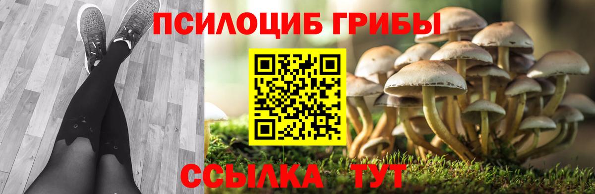 Галлюциногенные грибы Psilocybine cubensis Алушта